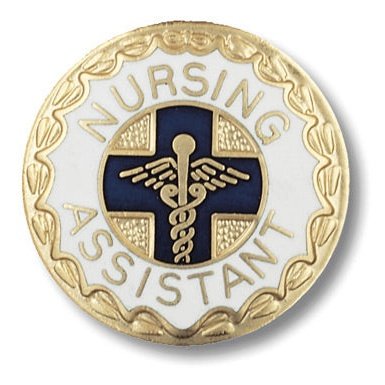 Nursing Assistant Pin Accessories Prestige   