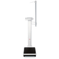 Seca Side-Mounted Telescopic Measuring Rod for Column Scales Scales Seca   