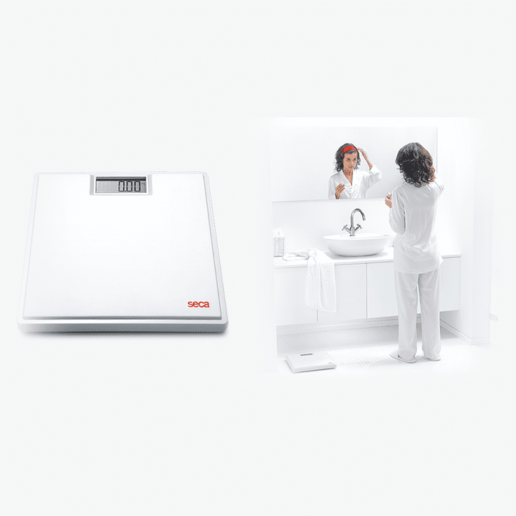 803 Seca Digital Flat Scales for Individual Patient Use Scales Seca   