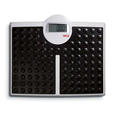 813 Seca High Capacity Flat Scale Scales Seca   